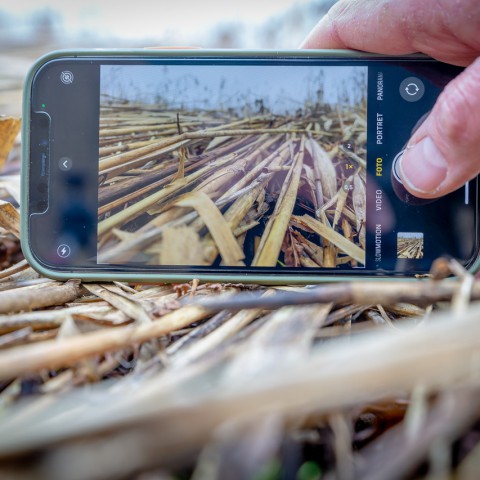 Workshop 'fotografeer de zomer met je mobiel