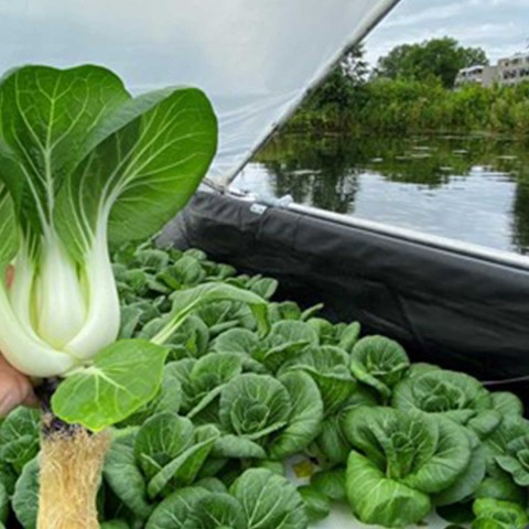 Floating Future, voedselproductie op water