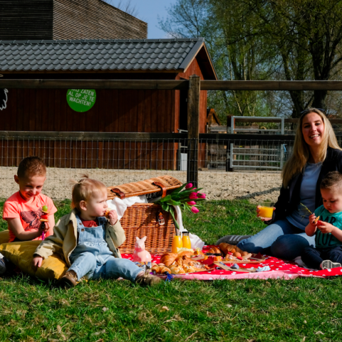 Moederdagpicknick tussen de dieren