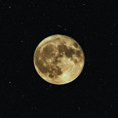 Bekijk de uitrol van NASA'S Mega Moon Rocket