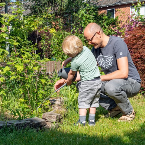 Provincie moedigt Flevolanders aan om tuin groener te maken