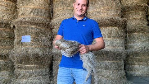 Provincie stimuleert vlasproductie in Flevoland