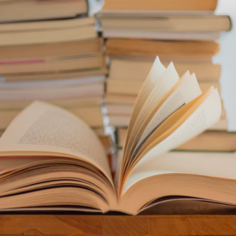 Boek: Wolven in de Kerk
