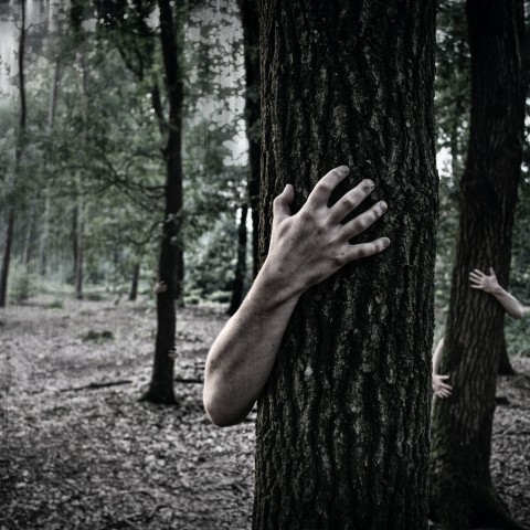 'The Walking Dead' krijgt deze zomer een interactief live-evenementspel op Facebook