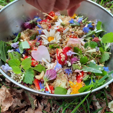 Zomerse quinoasalade met eetbare wilde planten