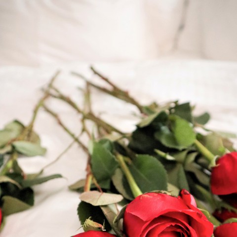 Valentijnsactie van Easyfm samen met NUL36 en Van der valk Almere!