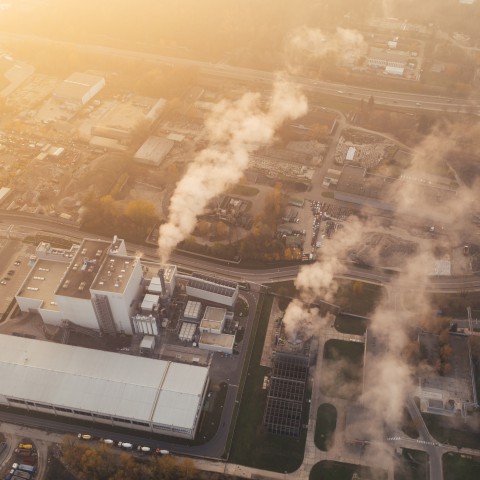 Zes dingen die je zelf kunt doen om de CO2-uitstoot terug te dringen