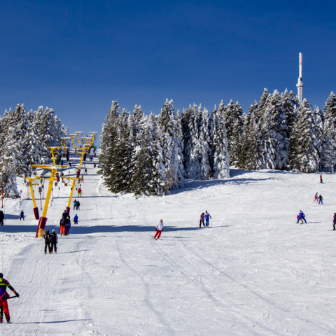 Wintersport in Uludağ National Park