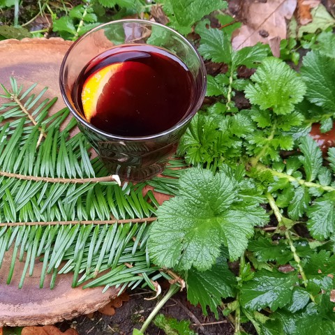 Glühwein met Douglasspar