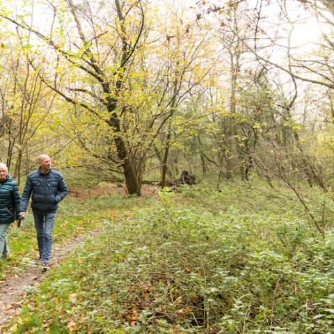 Kom in beweging in de Almeerse natuur