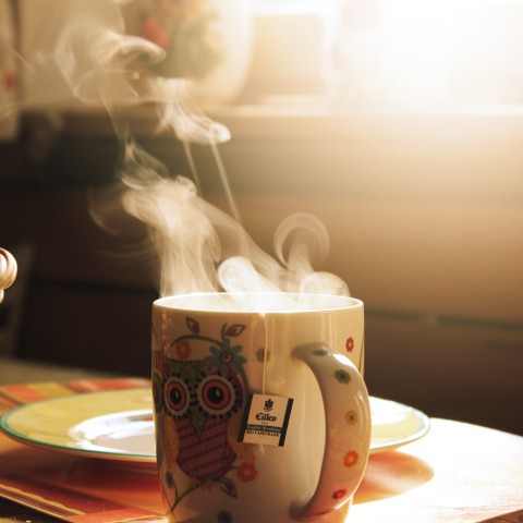 Warm de winter in ondanks de gestegen gas en energietarieven