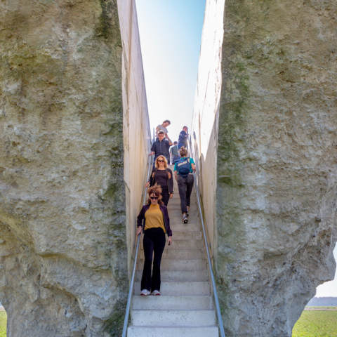 Culturele samenwerking in Flevoland