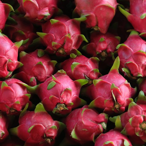 De vele voordelen van Drakenfruit