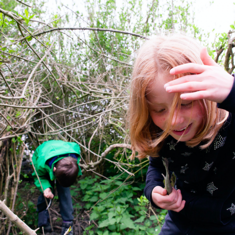 Spetterend einde aan poepzomer Stad & Natuur met Zomerfestival