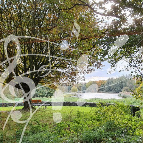 Muziekwandeling Natuurpark Lelystad