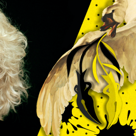 Eerste optreden Artist in Residence 2022