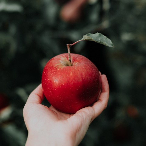 Dit is waarom appels gezond zijn