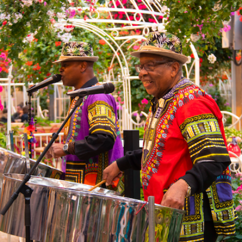Caribische Week in junglepark de Orchideeën Hoeve