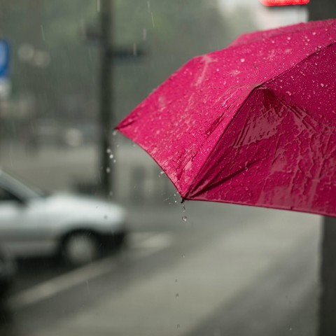 Een regenachtige dag, wat ga je doen?