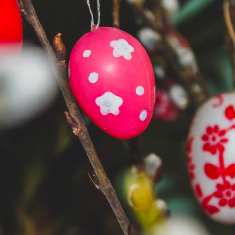 Ruitenheer & Ons Nieuws Kinder Paasfeest in samenwerking met Voedselbanken Nederland