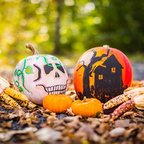 Halloween spookwandeling
