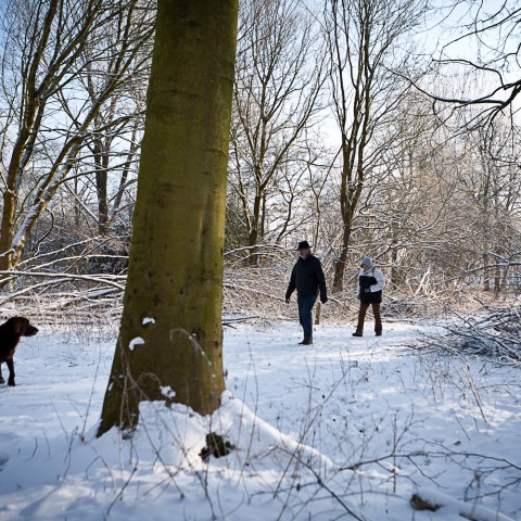 Ontdek je stad en natuur in de kerstvakantie