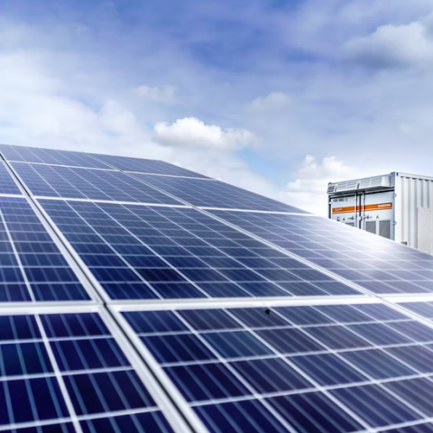 Ruim 1 op de 5 woningen in Flevoland heeft zonnepanelen
