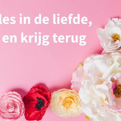 Vivo Somnis - Leef je droom | Column