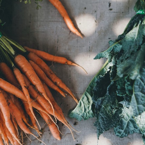 Is biologisch voedsel gezonder?