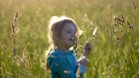 Meer dan 5000 kinderen in Flevoland volgden een natuur- of duurzaamheidsles