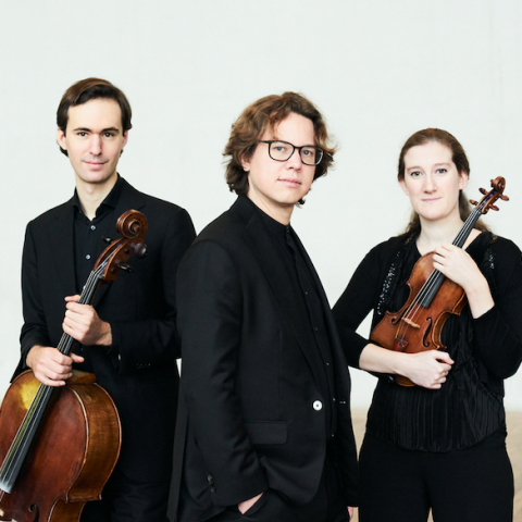 Van baerle Trio speelt in mooie akoestiek Goede Rede Concerten