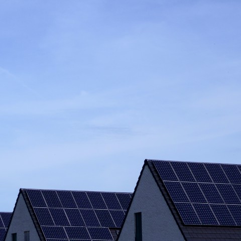 Ruim 1 op de 4 Flevolandse woningen heeft zonnepanelen