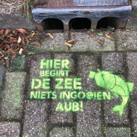 Actie: Hier begint de zee!