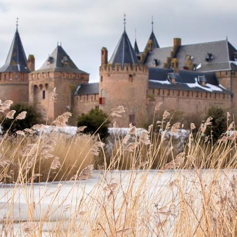 Rijksmuseum Muiderslot heropent met bomvol programma