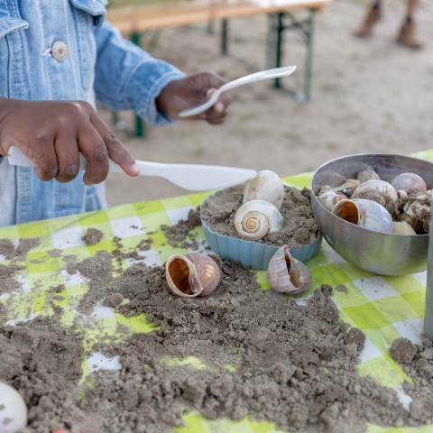 Actief van strand tot bos bij Stad & Natuur in de zomervakantie