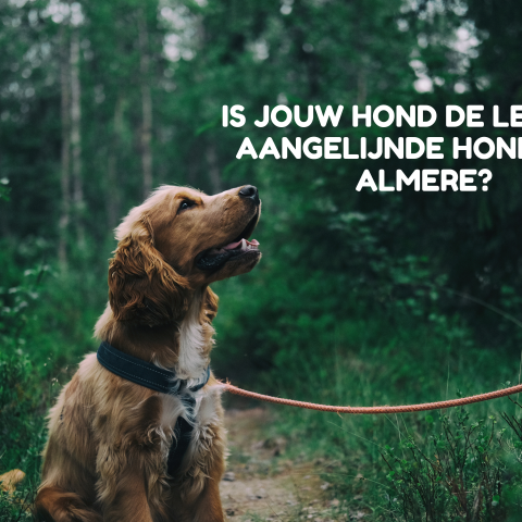 Boswachters zetten zich in voor rustige kraamkamer voor moeder natuur