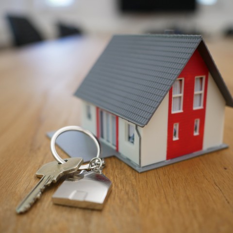 Opvallende stijging: Nederland kent steeds meer huizen met schimmel en zwamgroei