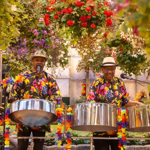 Caribische Week in junglepark de Orchideeën Hoeve