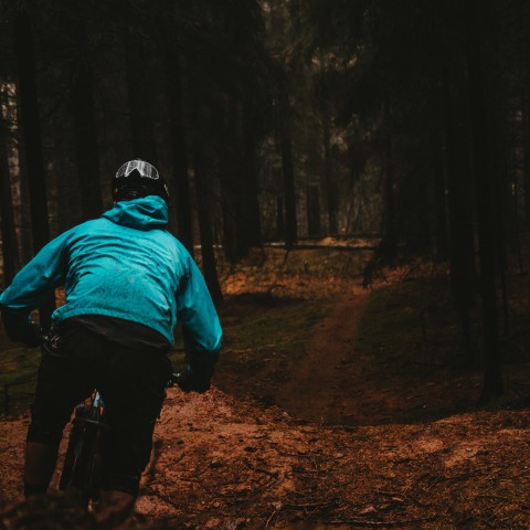 ‘3D Triatlon’ in de Flevolandse natuur