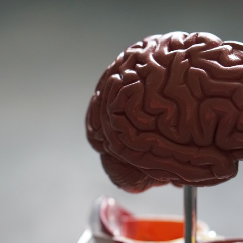 Astrobiologen suggereren dat de aarde zelf een intelligente entiteit kan zijn