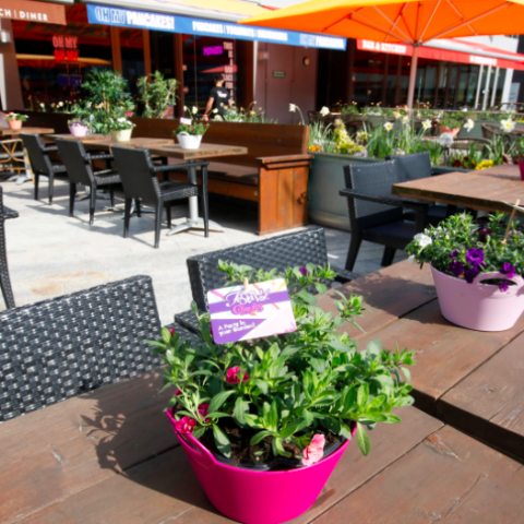 Almeerse horeca klaar voor terrassenfestival