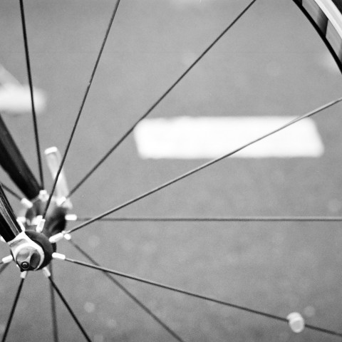 Fietsen voor het klimaat in Flevoland