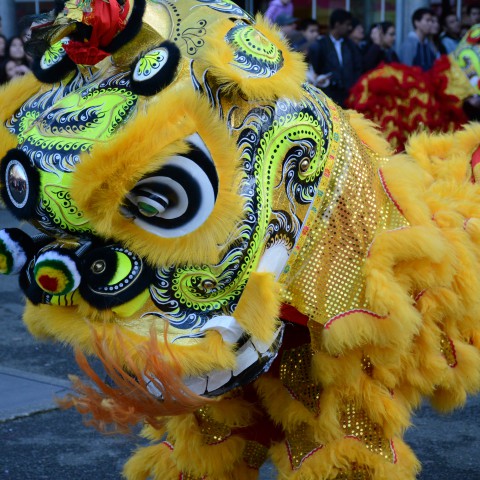 Vandaag 1 februari 2022 is het Chinees Nieuwjaar