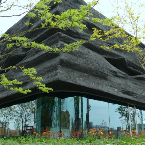 Floriade Expo 2022:  een geweldige dag vol groen!