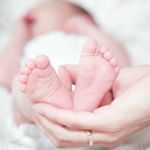 Babyboom in Flevoland: Noordoostpolder is koploper