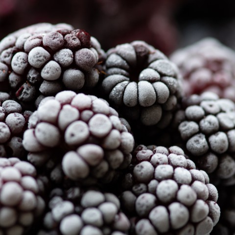 Is diepvriesgroenten beter dan verse groenten?