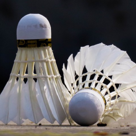 NK badminton ook komende jaren in Topsportcentrum Almere