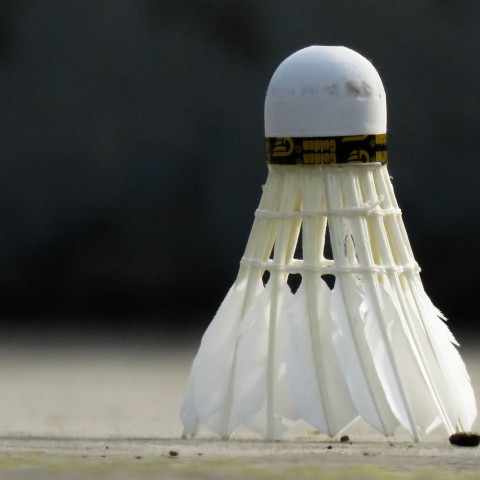 Coachingsstaf Badminton Nederland richting Parijs 2024 compleet