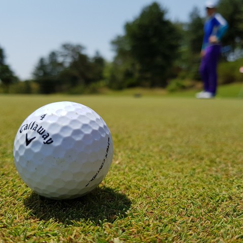 Leer om te golfen bij de Golfacademy Almeerderhout