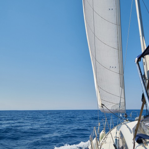 Koning opent TeamNL Olympic Festival